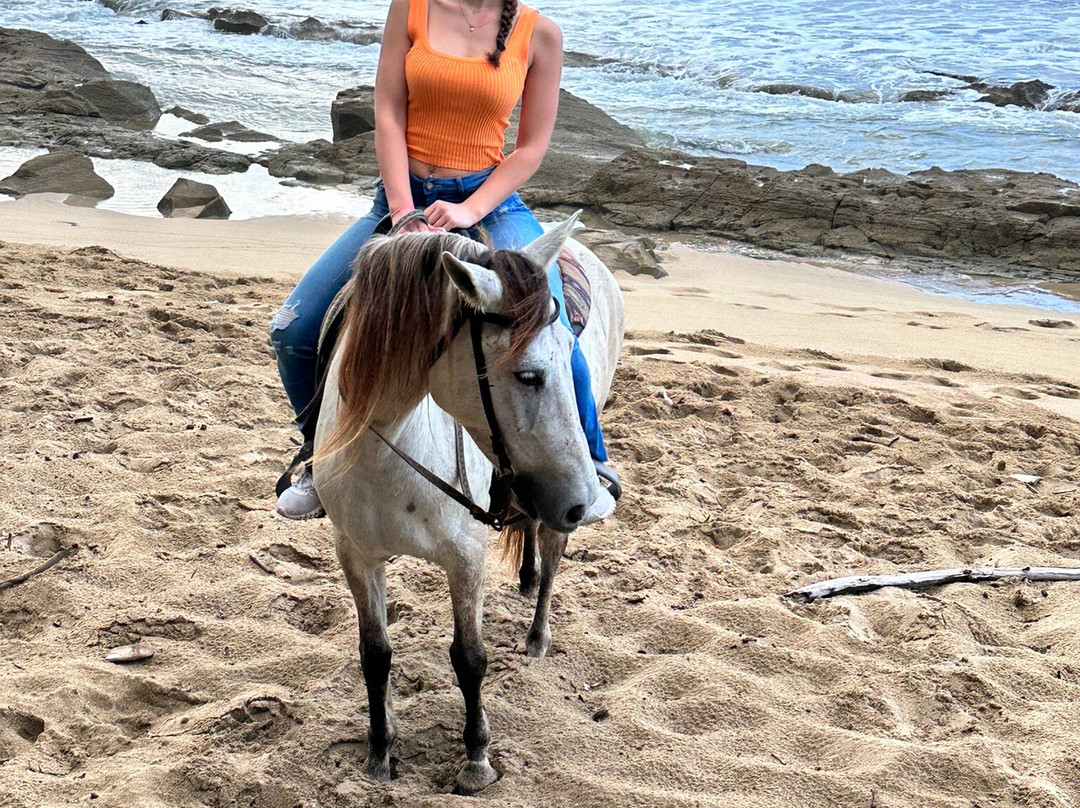 Tropical Trail Rides - Isabela-Isabela必去景点