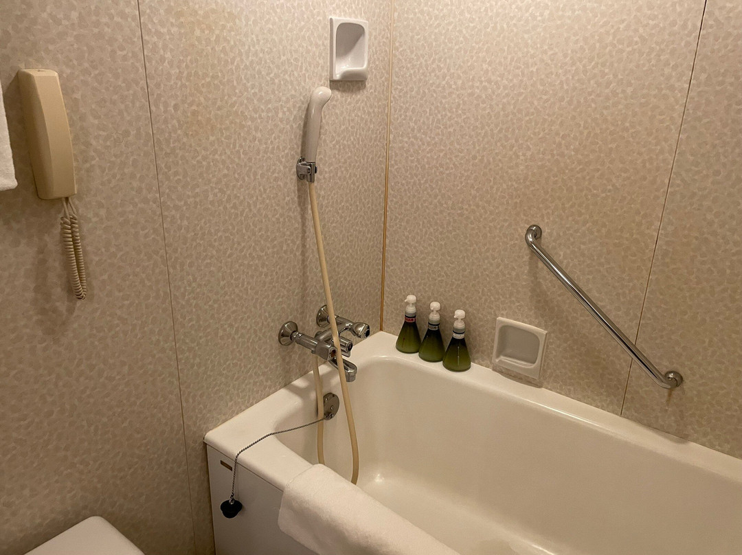Hotel Hewitt Koshien主图