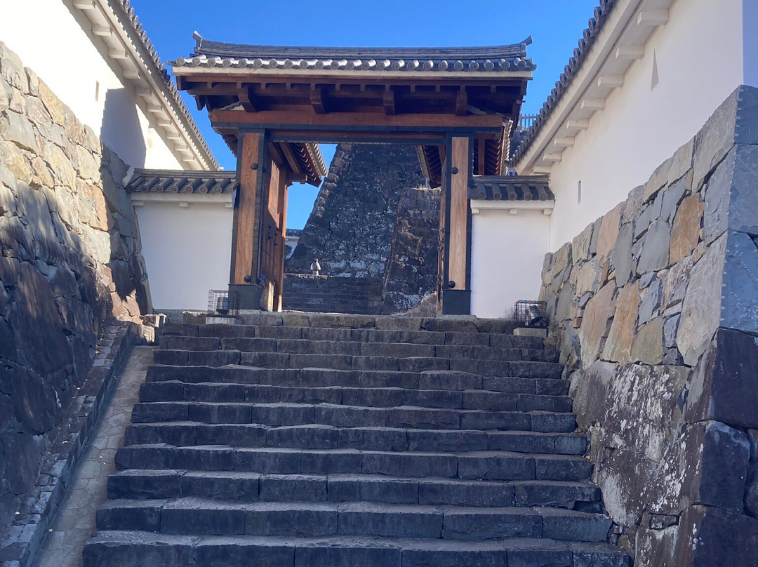 Maizuru Castle Park景点图片