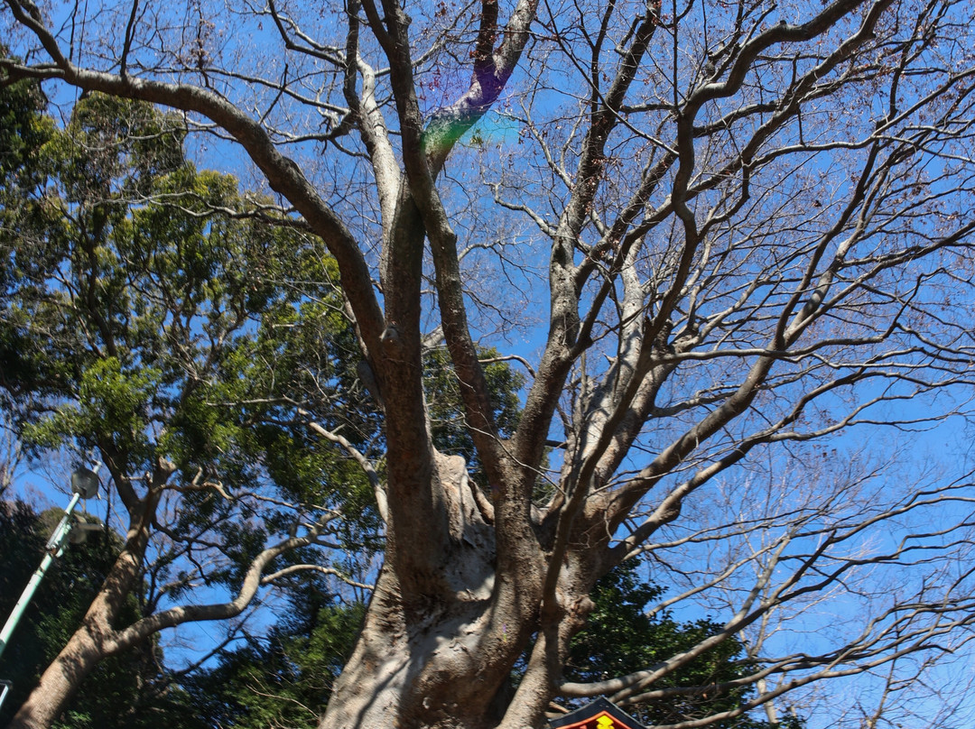 Yoshida Shrine-水户市必去景点