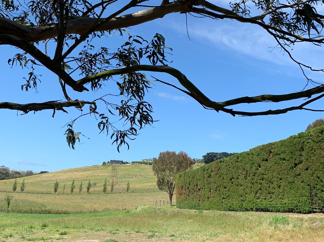 Barrabool Maze Estate-Barrabool必去景点