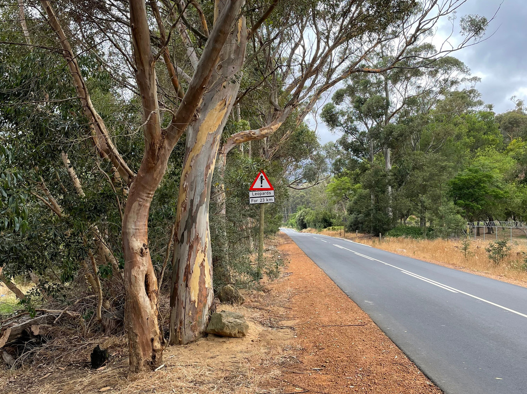 Bainskloof Pass-西开普必去景点