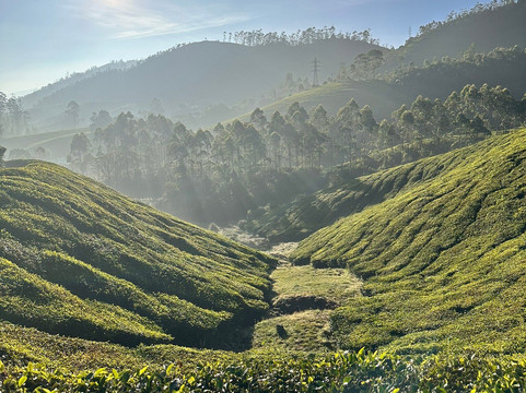 Munnar Valley Trekking & Tours-慕那尔必去景点