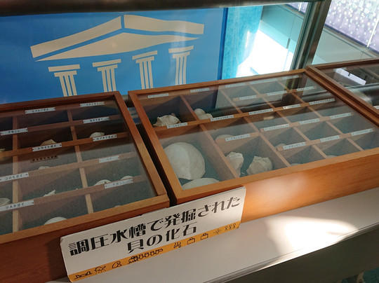 RyuQkan-春日部市必去景点