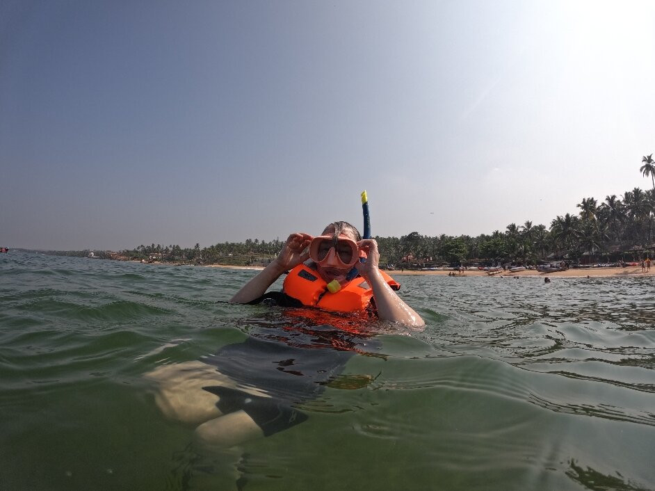 Bond Safari Scuba Diving景点图片