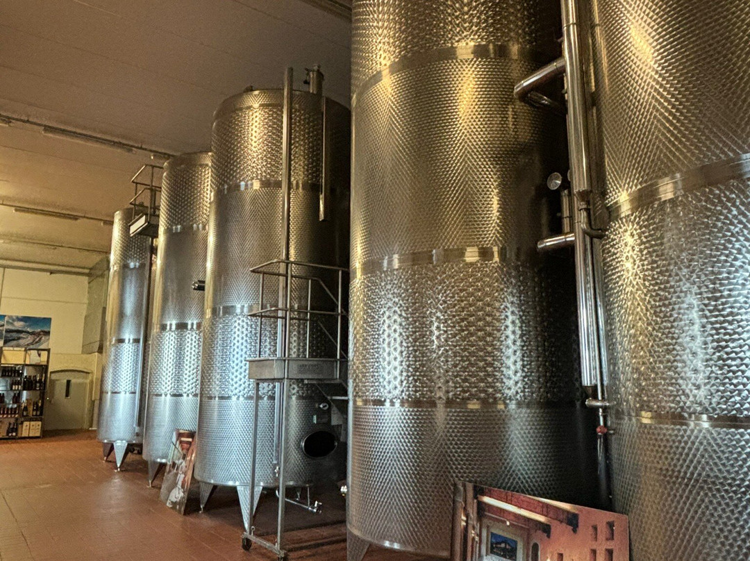 Societa Agricola Vigne Matte Srl景点图片