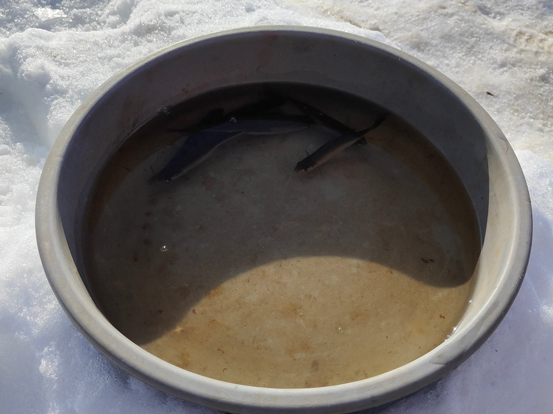 Konakovo River Club Hotel Complex主图