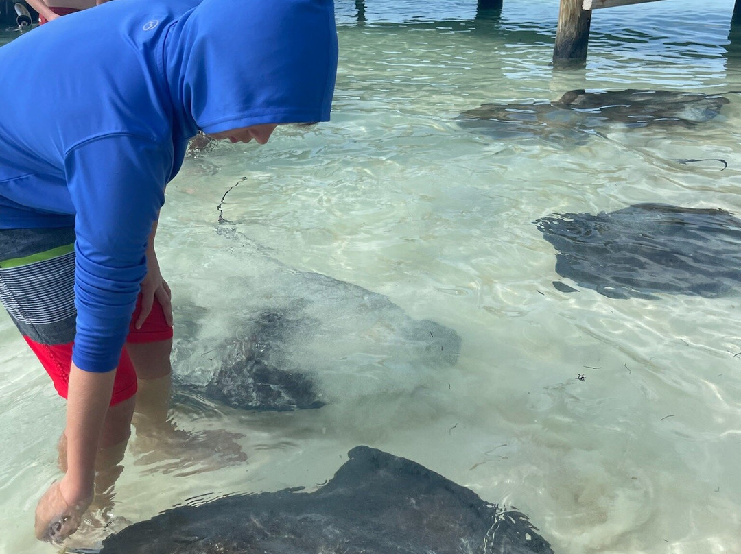 Brendal's Dive Center-Green Turtle Cay必去景点