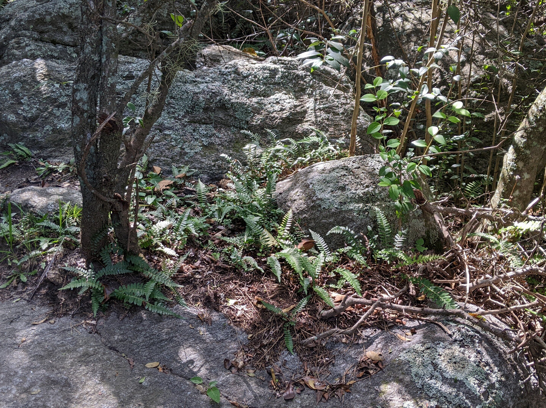 Sendero Quebrada de Ambrosio-圣哈维尔必去景点