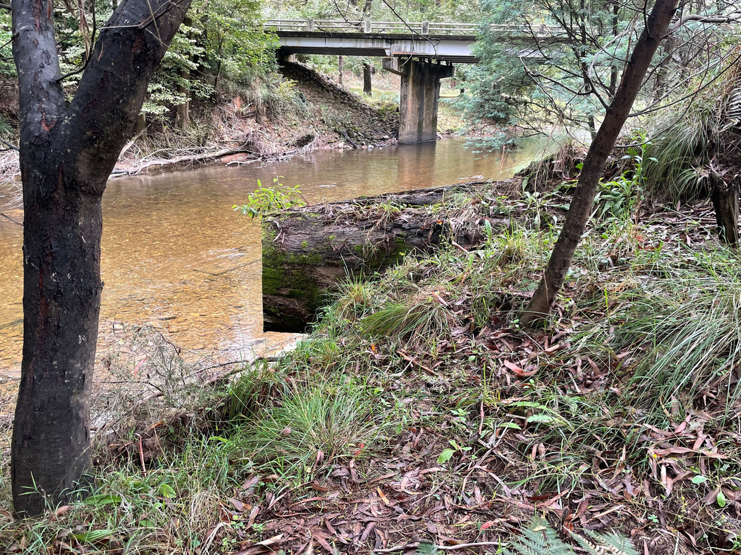 Burnt Bridge Day Visitor Area-Jamieson必去景点