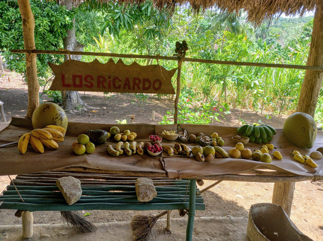 Sendero Los Ricardos-Banes必去景点