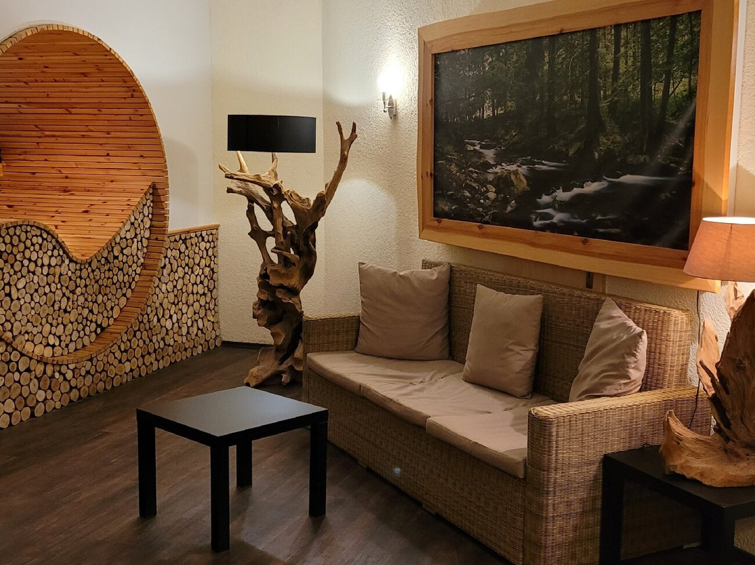 Sonnenhotel Hoher Hahn主图