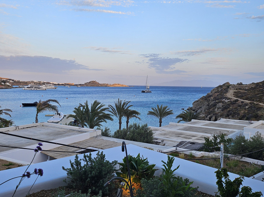 Nammos Hotel Mykonos主图