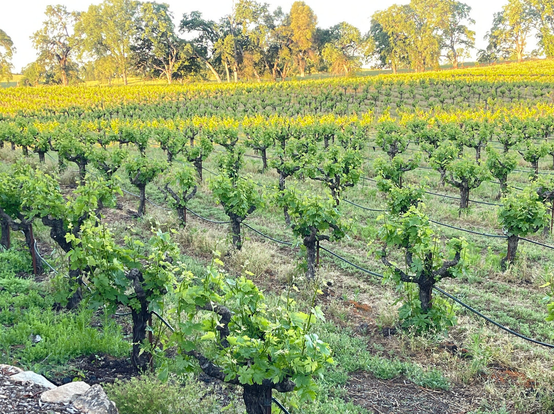 Grand Reserve Inn主图