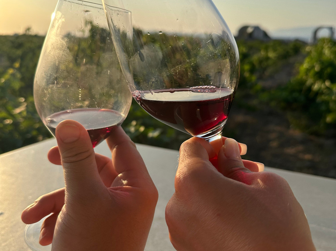 Santorini Wine Trails-费拉必去景点