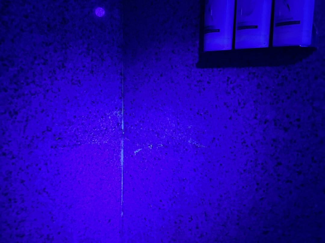 克里斯钦堡快捷假日&套房酒店主图