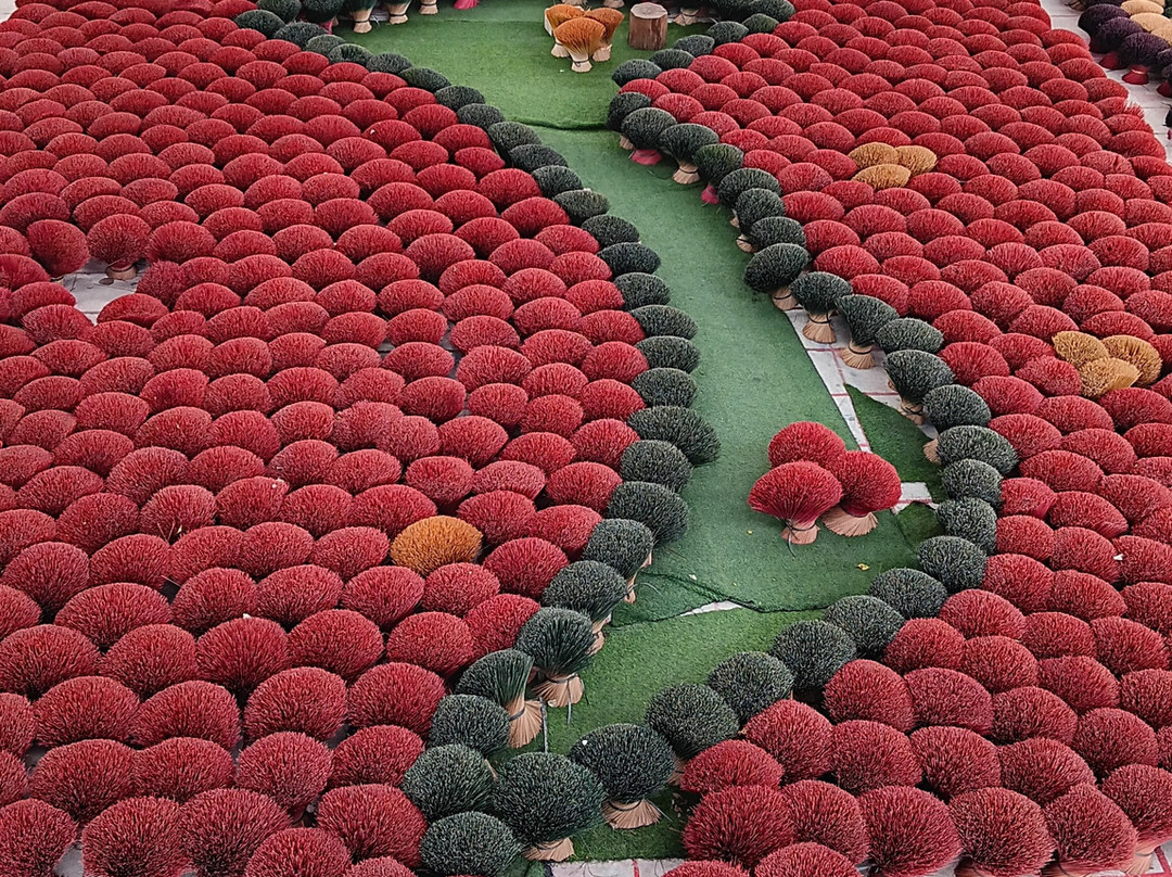 Incense Village Tour Half Day-Long Bien必去景点