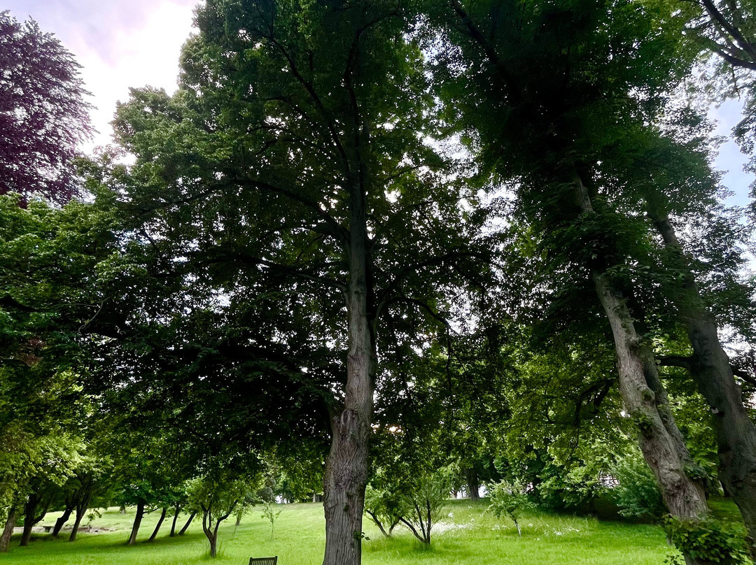 Retreat Park Am See Nattika Ayurveda主图