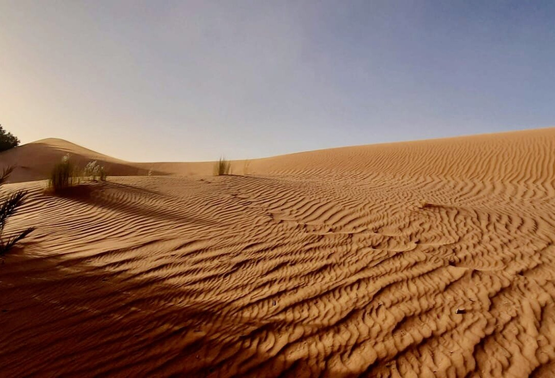 Trips En Marruecos - Day Tours-丹吉尔必去景点