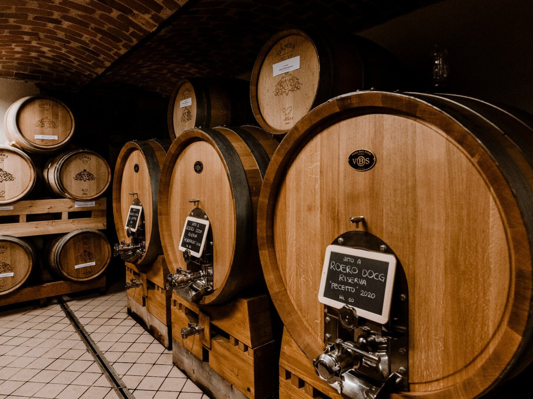 Azienda Agricola Mario Costa景点图片
