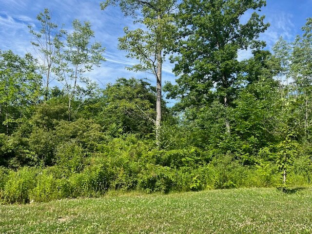 Prince Gallitzin State Park景点图片