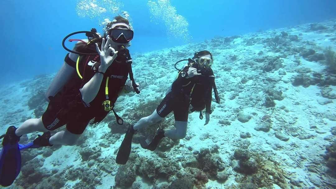 Red Snapper Diving-Dorp Sint Michiel必去景点