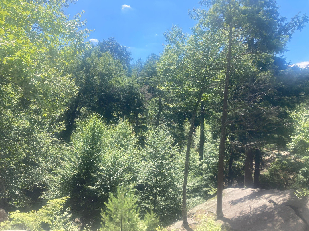 Purgatory Chasm State Reservation-Sutton必去景点