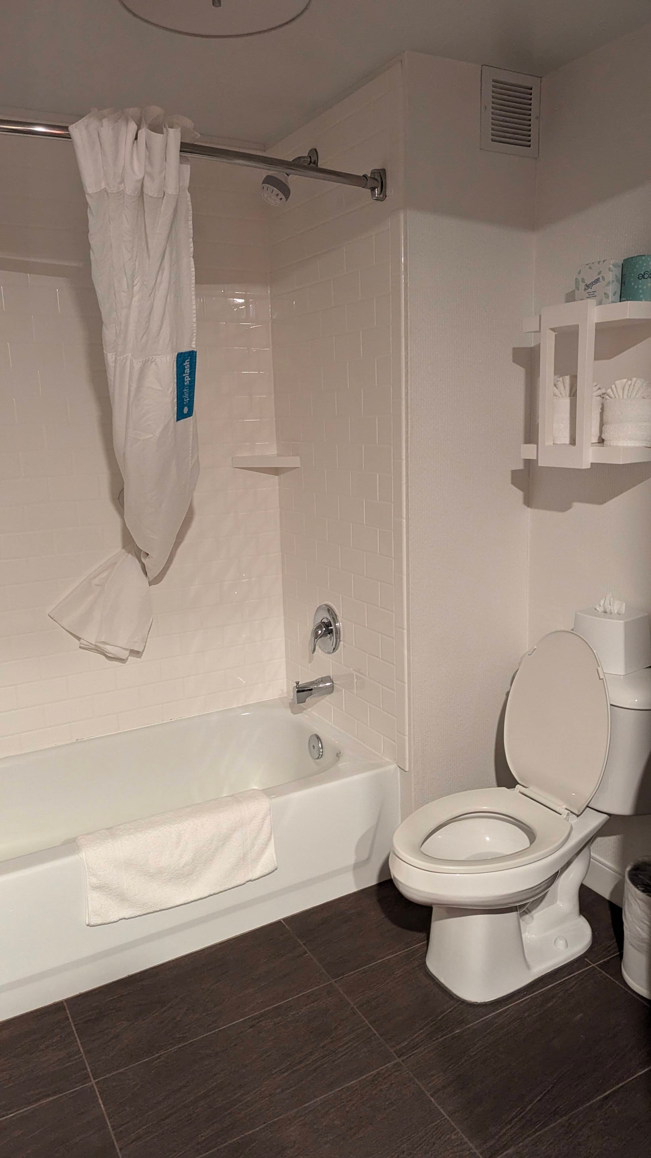Hampton Inn & Suites Valley Forge/oaks-浴室