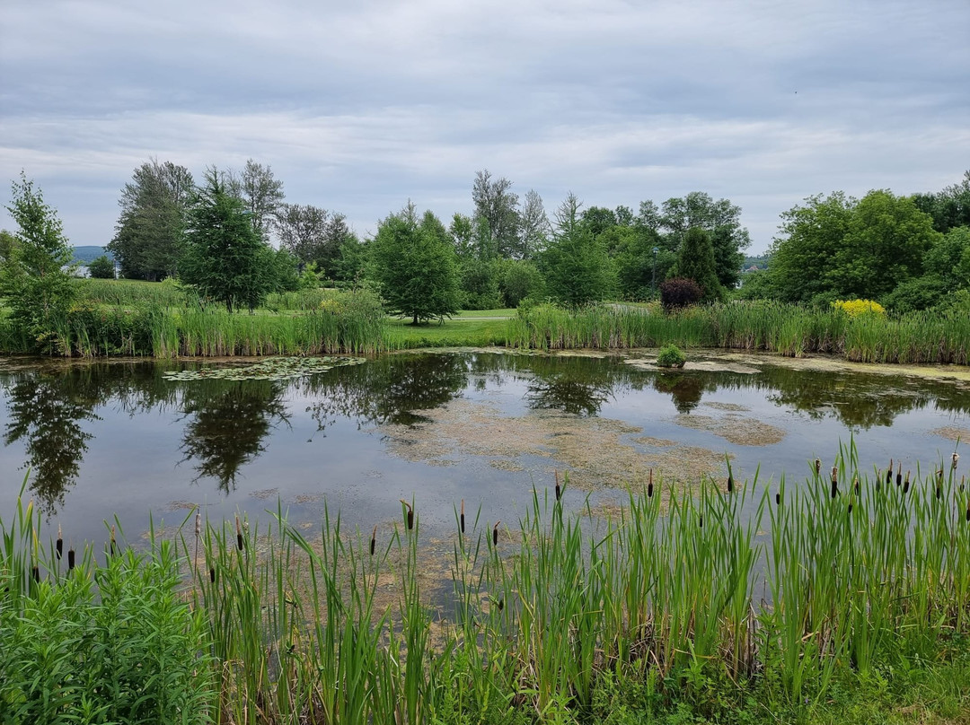 Hôtel Chateau Fraser主图
