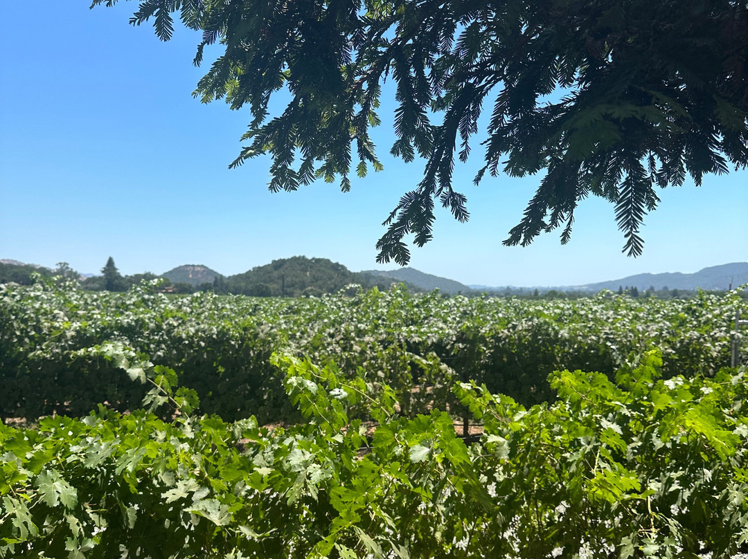 The Duckhorn Collection at Paraduxx-纳帕必去景点