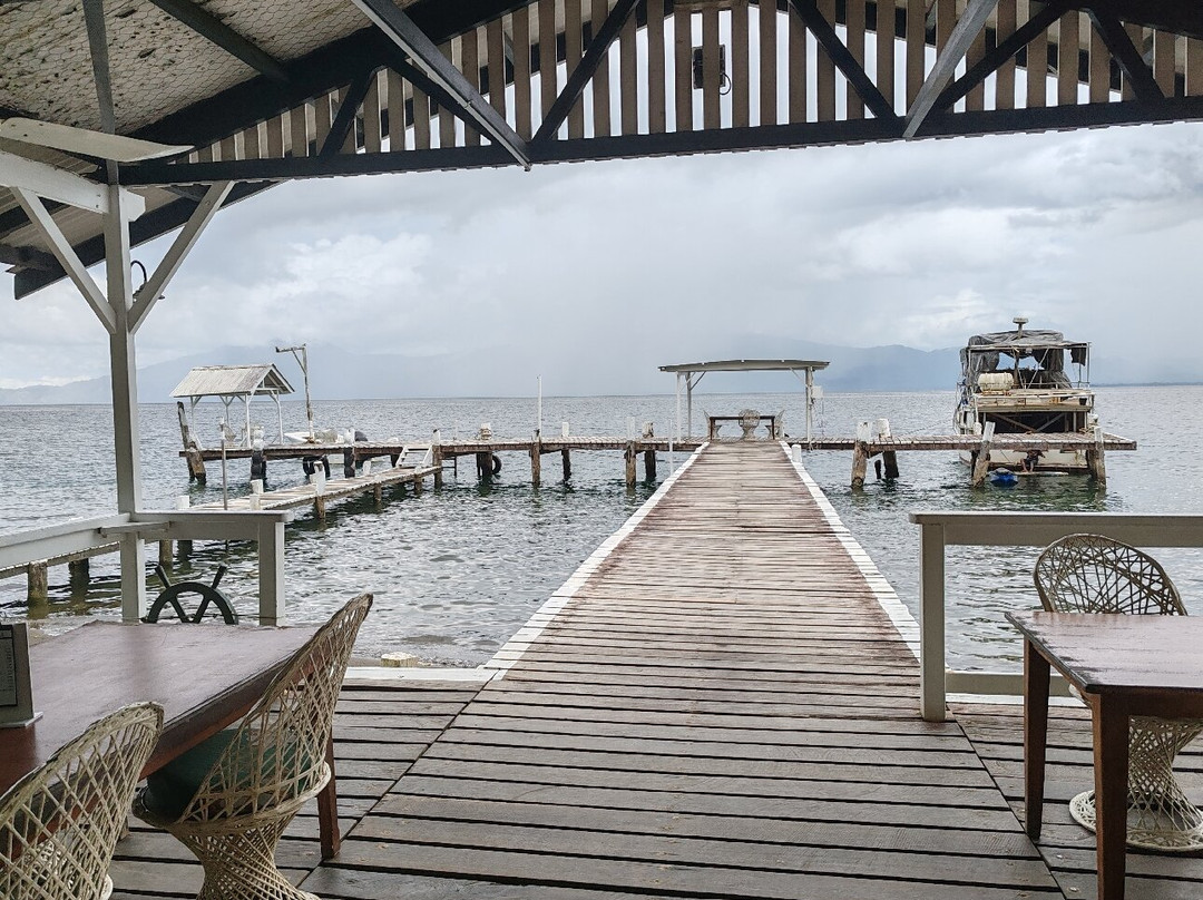 Driftwood Resort主图