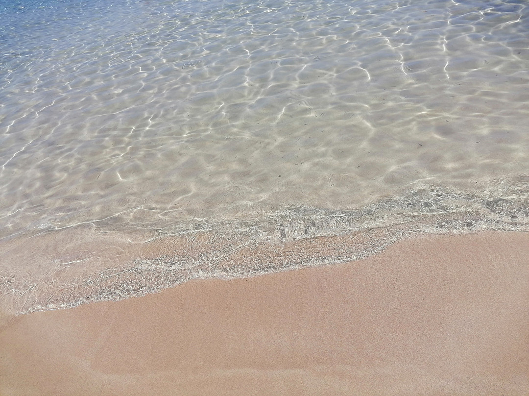 Spiaggia di Montedarena景点图片