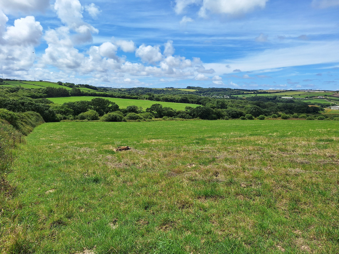 Callestick and Ventongimps Circular Walk-Penhallow必去景点