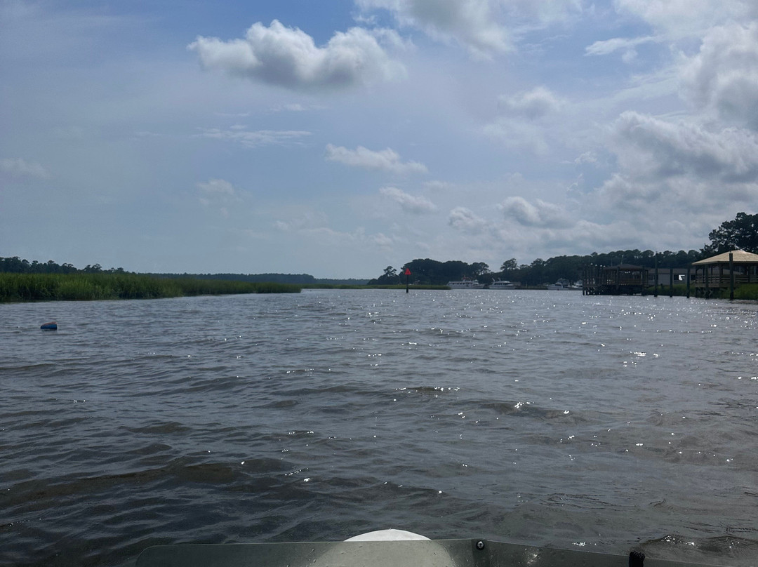 Carolinas Coastal Adventure Tours景点图片