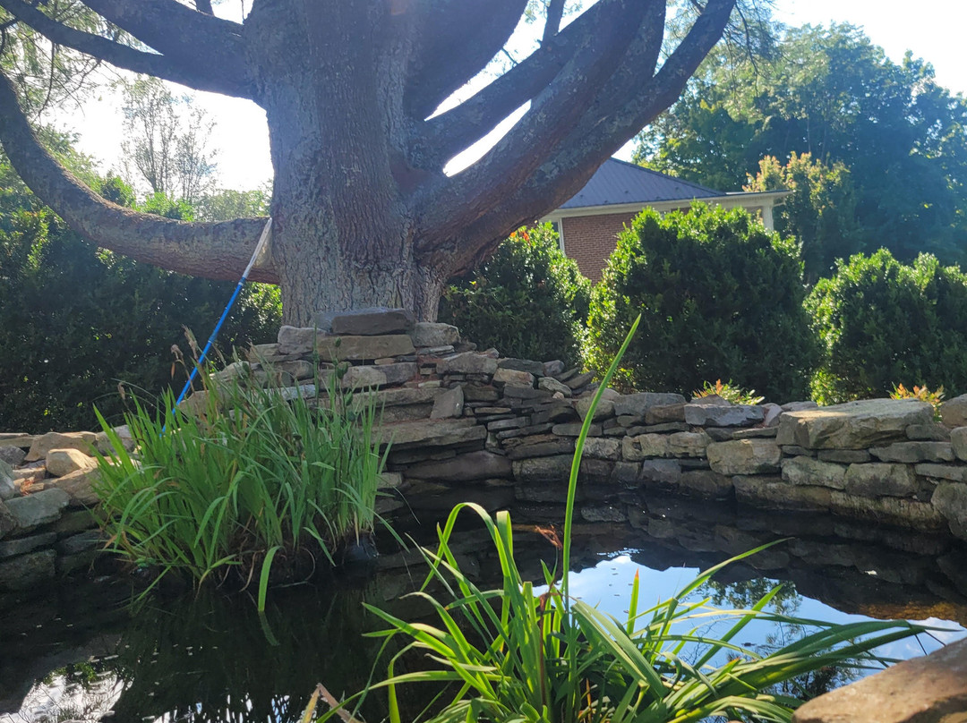 The Emory House Bed And Breakfast主图