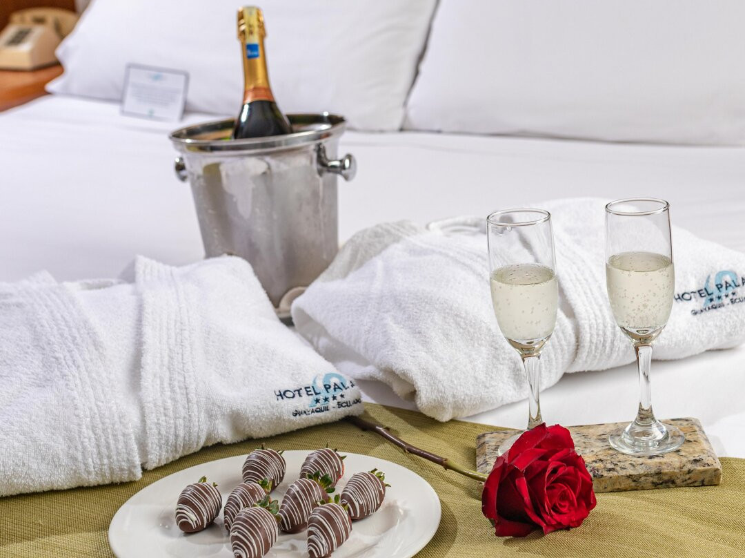 瓜亚基尔宫酒店主图