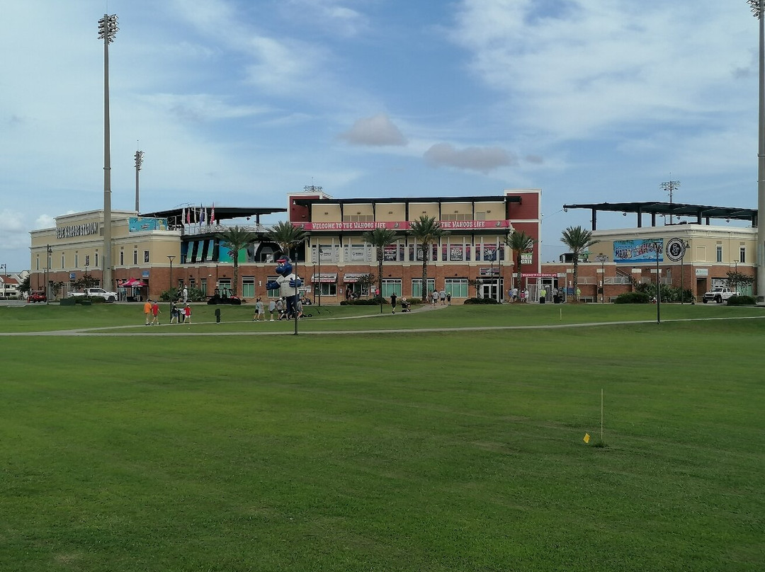Blue Wahoos Ballpark景点图片