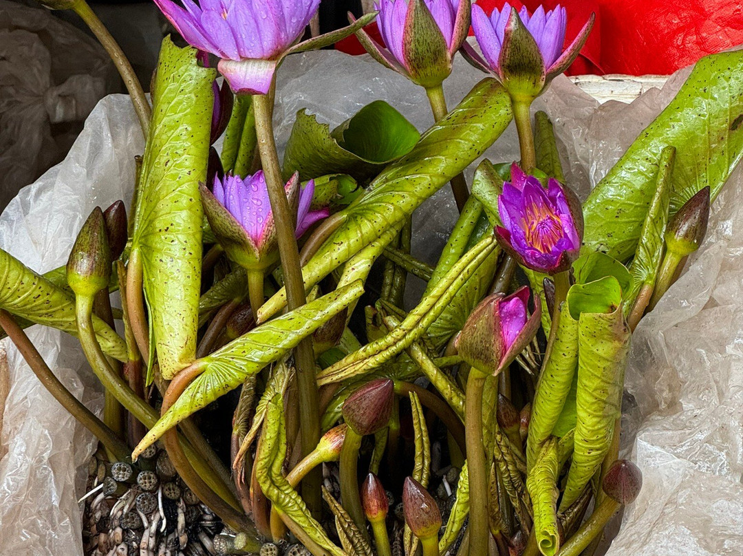 昆明白龙花鸟市场-昆明市必去景点