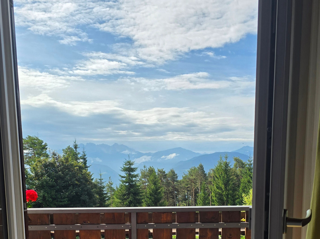 Gasthof Edelweiss主图