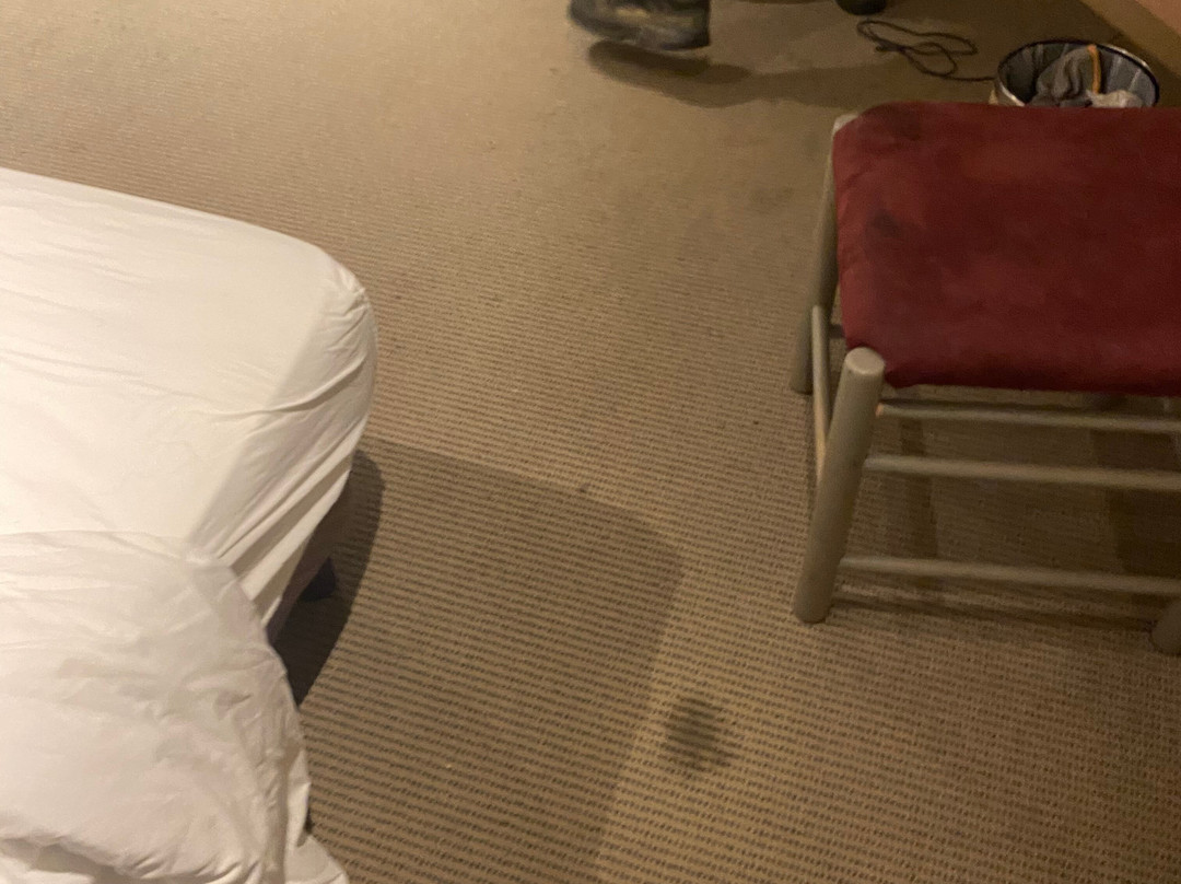 Hôtel Le Savoie主图