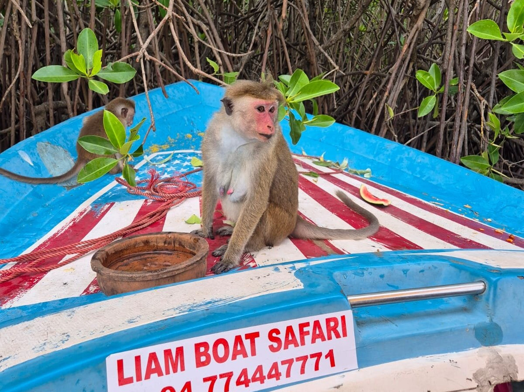 Liam Boat Safari景点图片