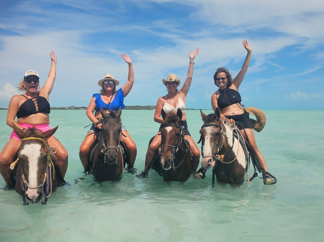 Heritage Tours & Horseback Riding-普罗维登西亚莱斯必去景点