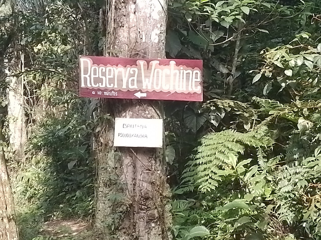 Reserva Wochine景点图片