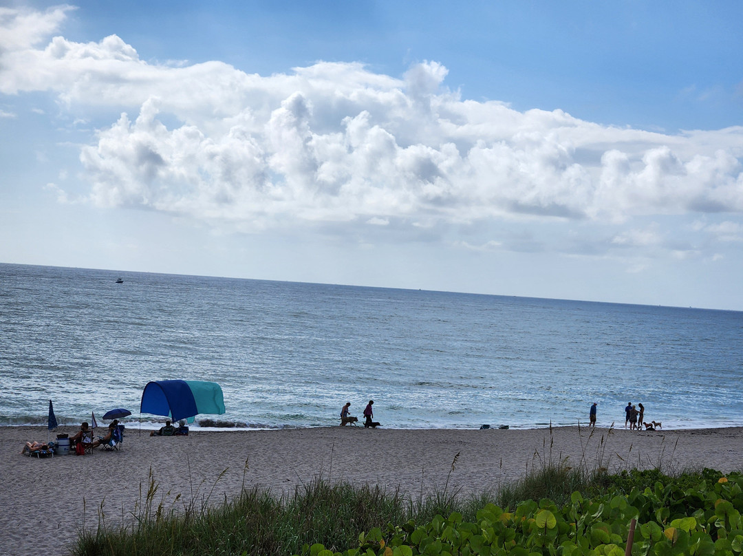Jupiter Dog Beach-朱庇特必去景点