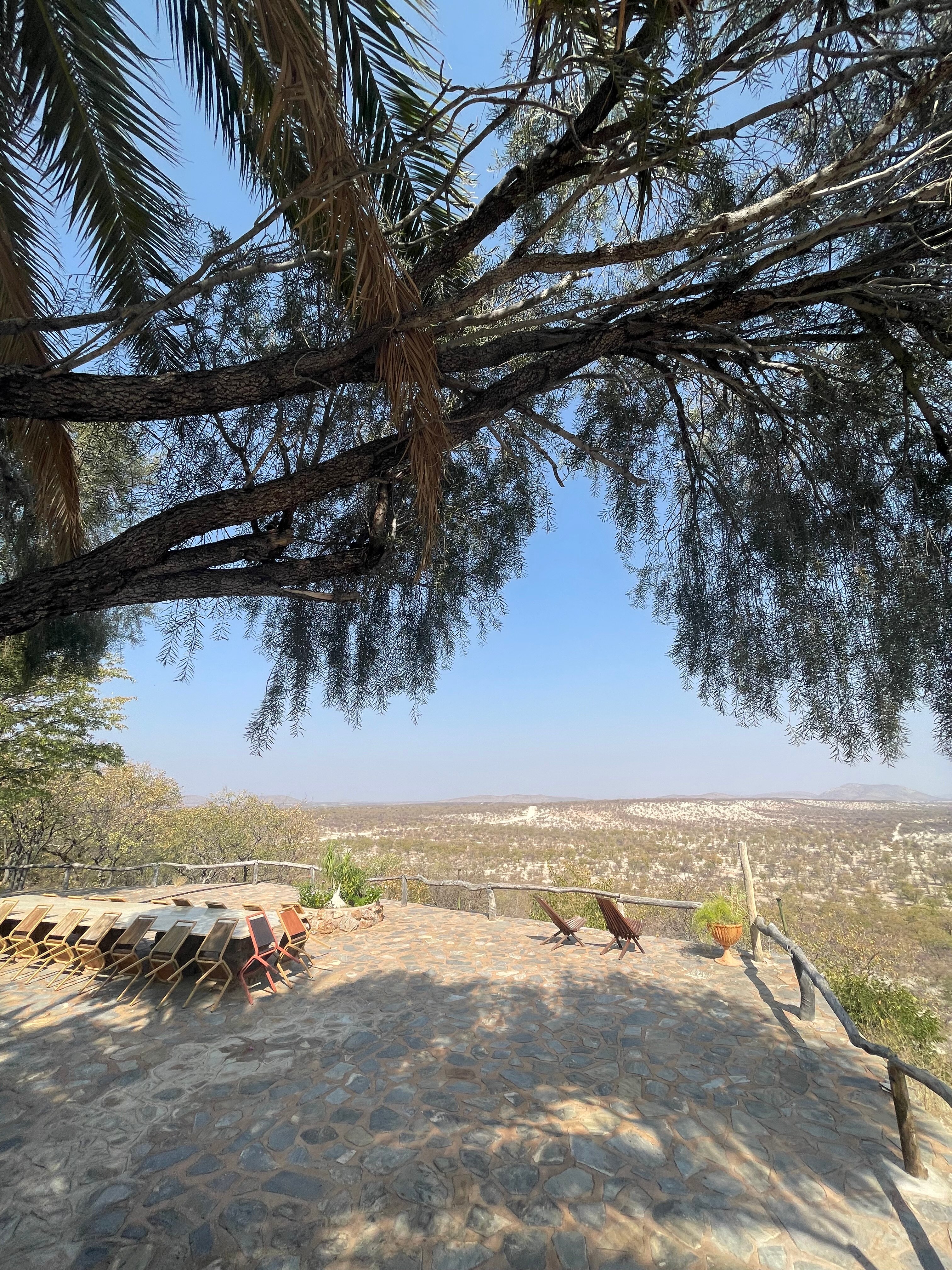 Bambatsi Guest Farm-官方