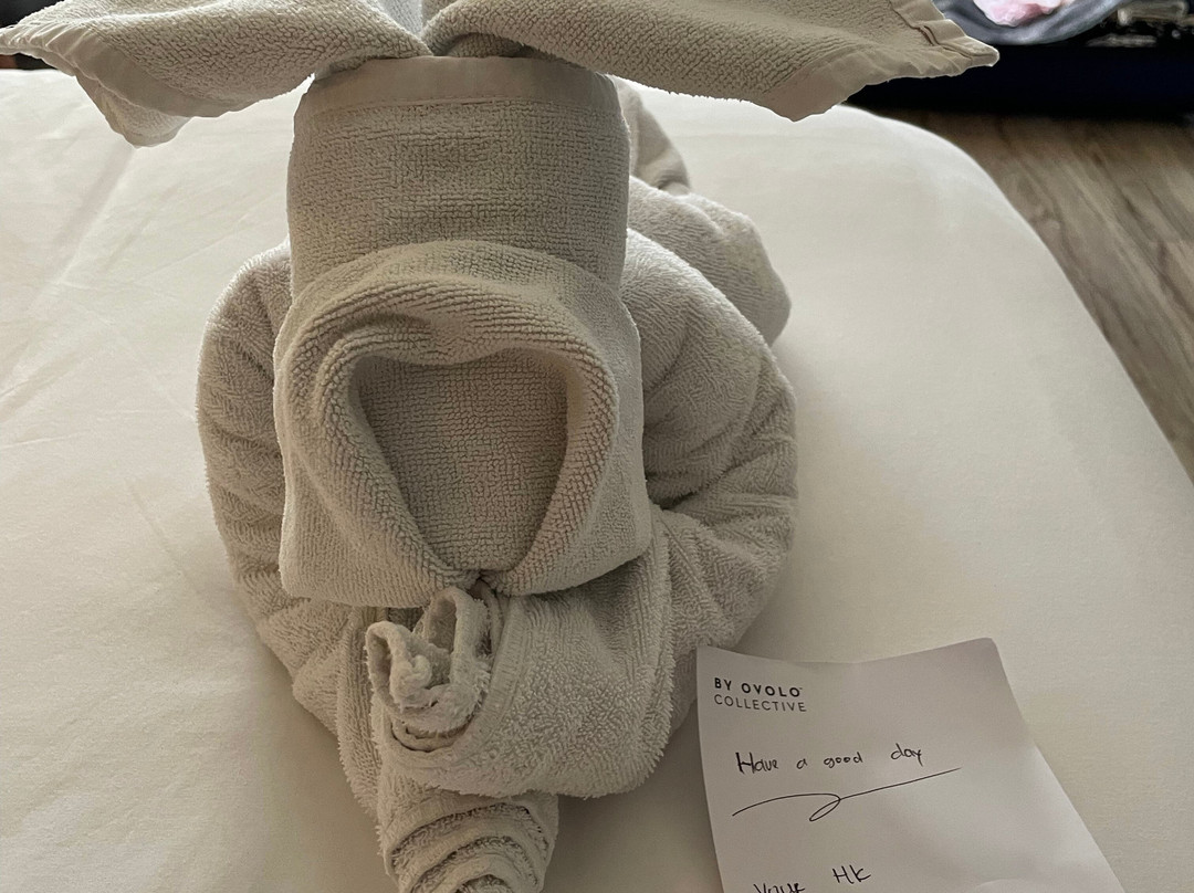 MAMAKA by Ovolo主图