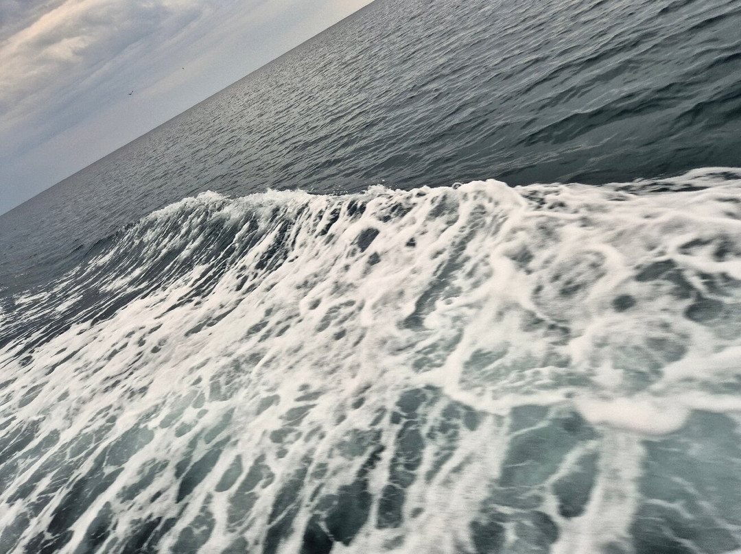 CTM Croisières-Saint-Cyprien必去景点