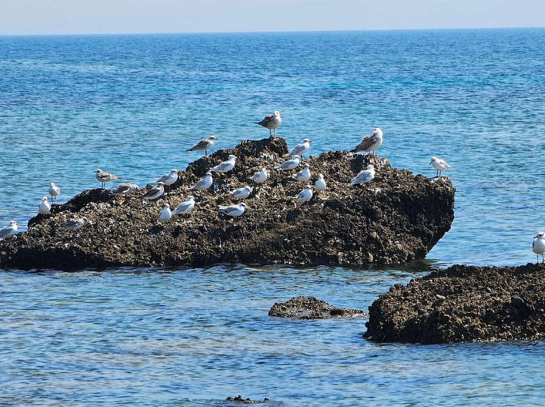Kallmi Beach-杜勒斯必去景点