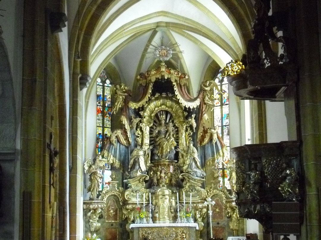 Stadtpfarrkirche St. Veit景点图片