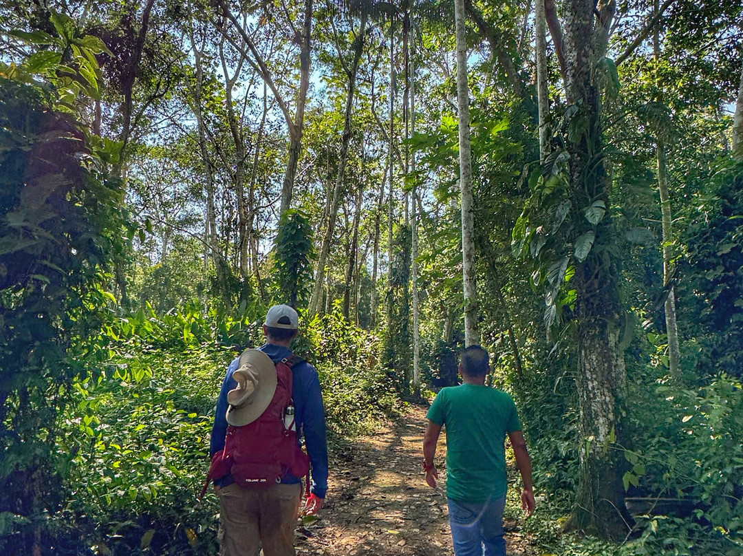 Kelwin's Amazon Adventures-伊基托斯必去景点